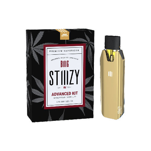 STIIIZY BIIIG Advanced Battery Kit Gold Edition with packaging