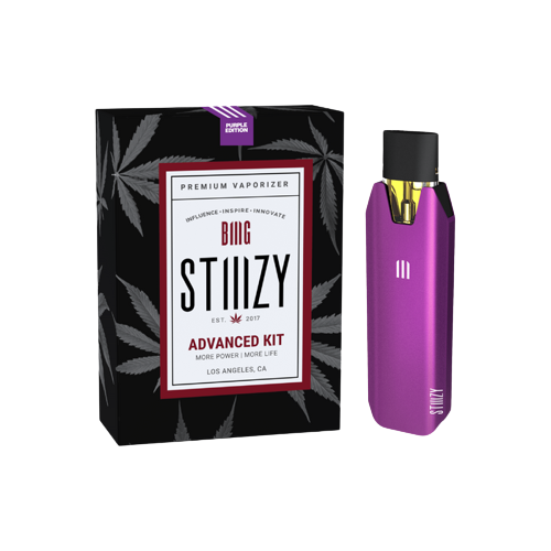 STIIIZY BIIIG Advanced Battery Kit Purple Edition with packaging
