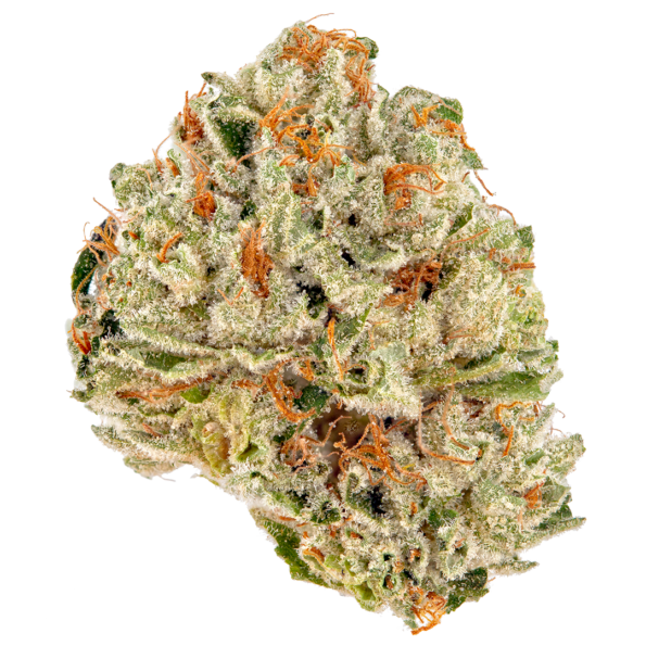Bubble Gum Gelato Exotic THC-A Flower