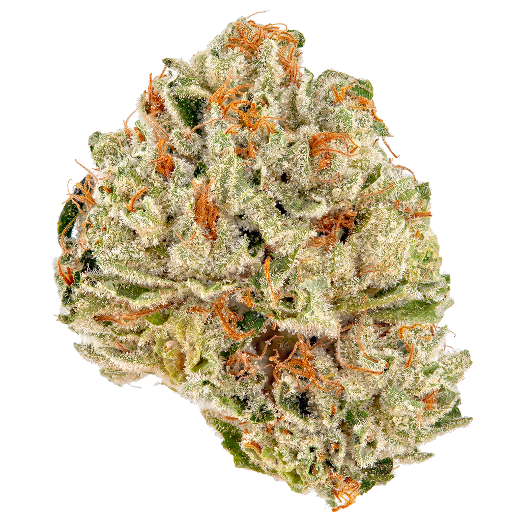 Bubble Gum Gelato Exotic THC-A Flower