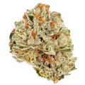 Bubble Gum Gelato Exotic THC-A Flower