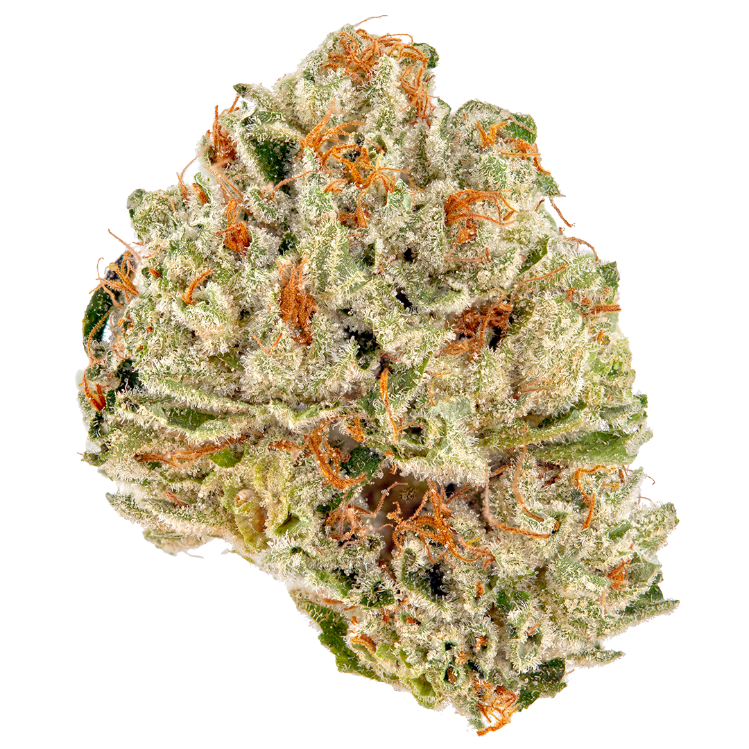 Bubble Gum Gelato Exotic THC-A Flower