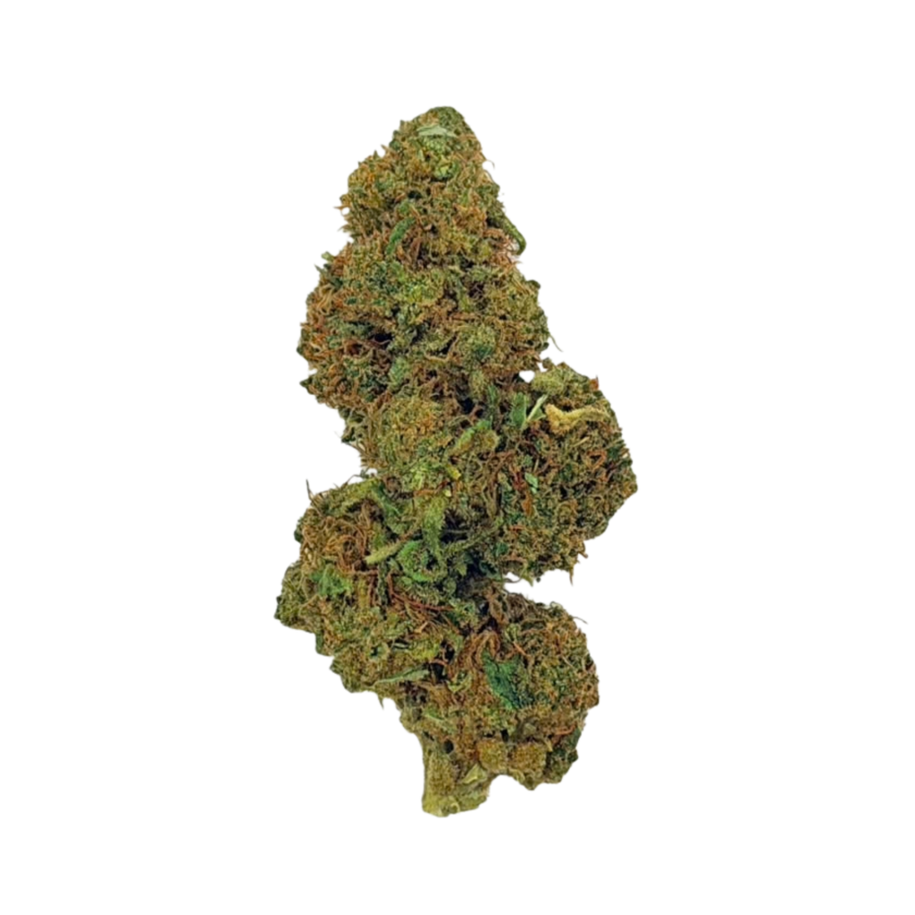 The White (Sativa)