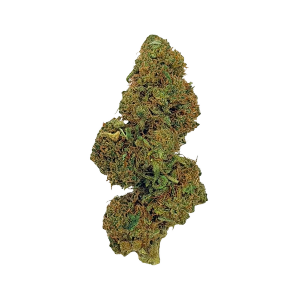 The White (Sativa)